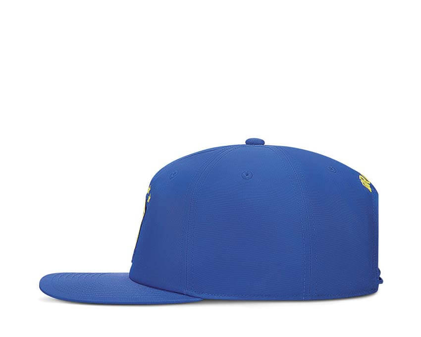 Jordan Pro Cap