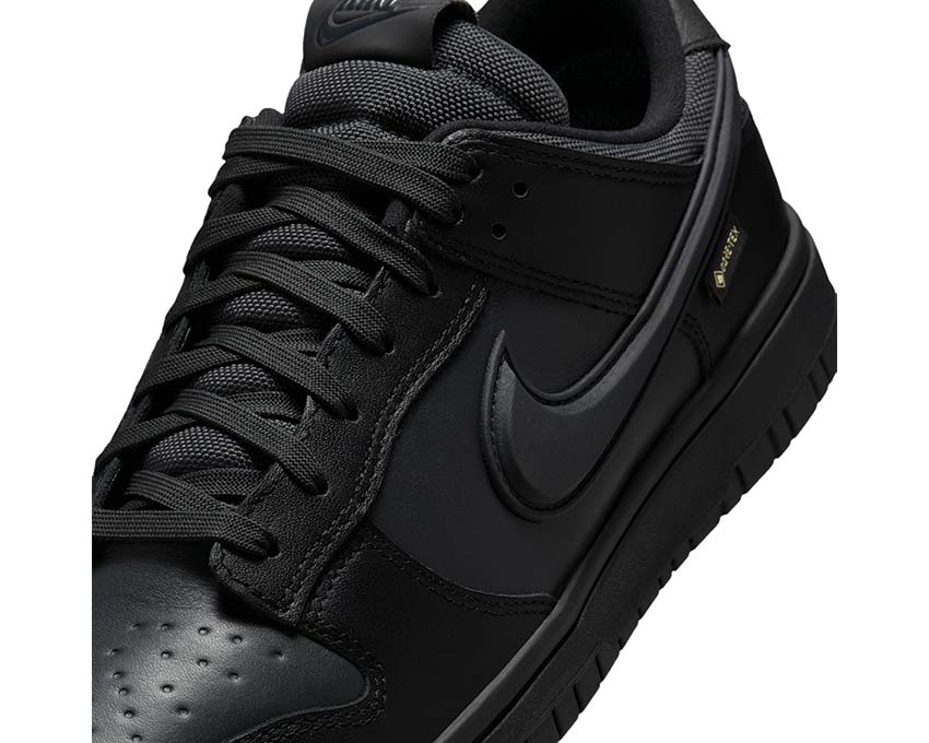 Nike Dunk Low GTX "Black"
