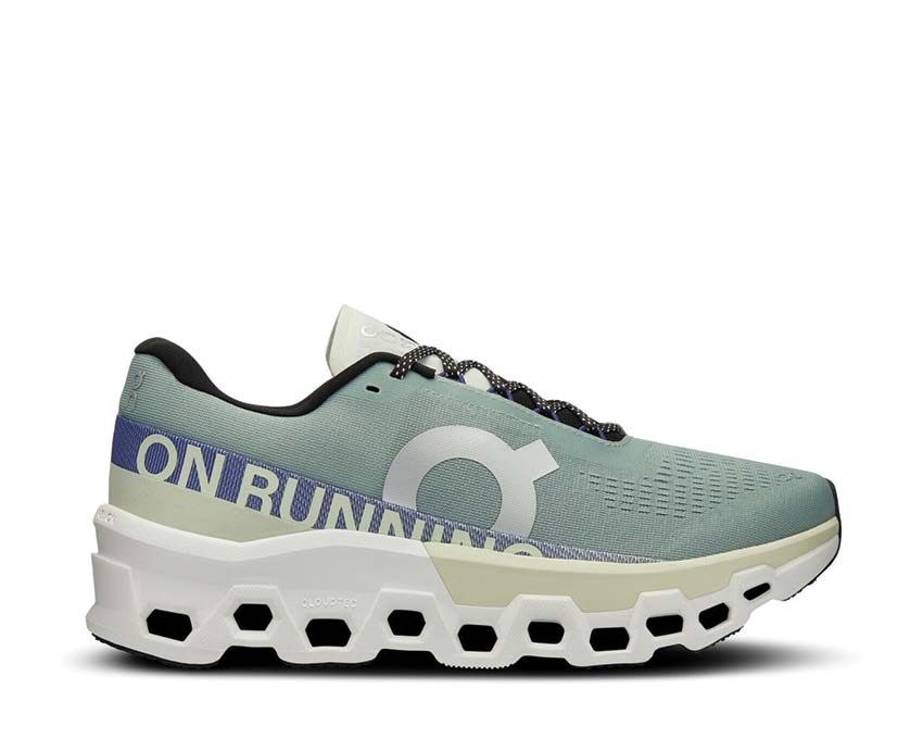 On Cloudmonster 2 W