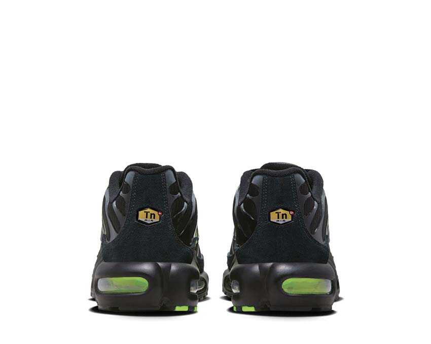 Nike Air Max Plus