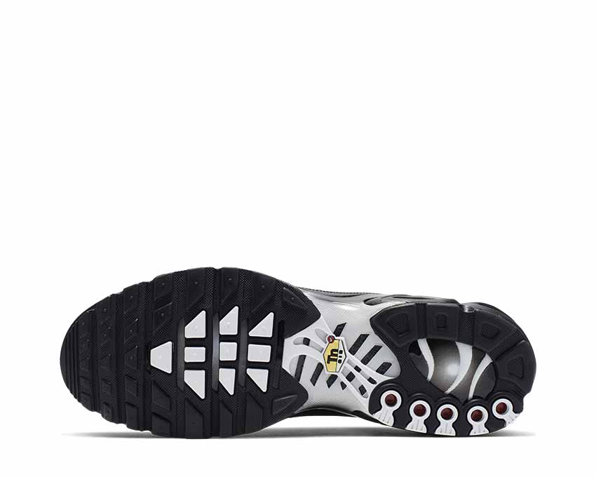 Nike Air Max Plus TN SE Black White