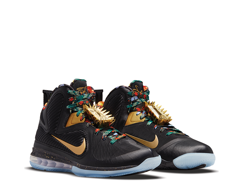Nike Lebron IX