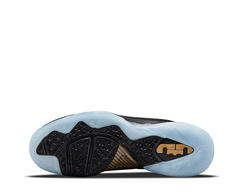 Nike Lebron IX