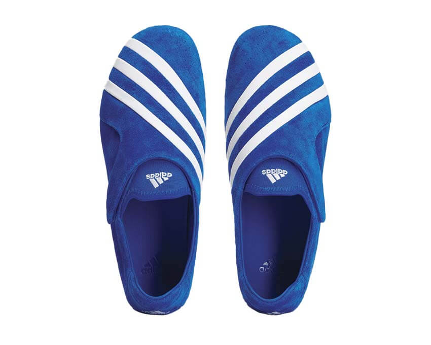 Adidas PW Vario Flat Earther "Blue"