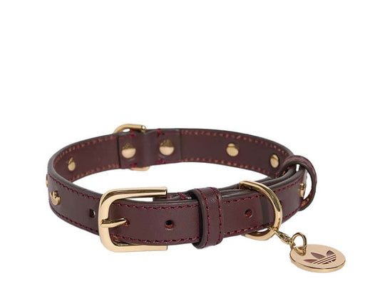 Adidas Pet Collar "Collegiate Burgundy"