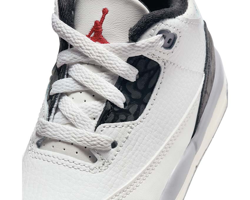 Jordan 3 Retro TD