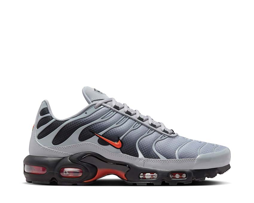 Nike Air Max Plus "Wolf Grey"