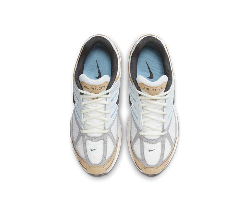 Nike Air Pegasus 2005