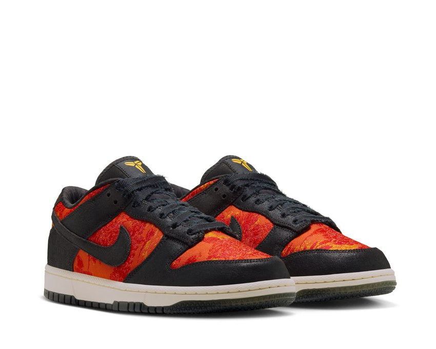 Nike Dunk Low Protro "Anthracite"