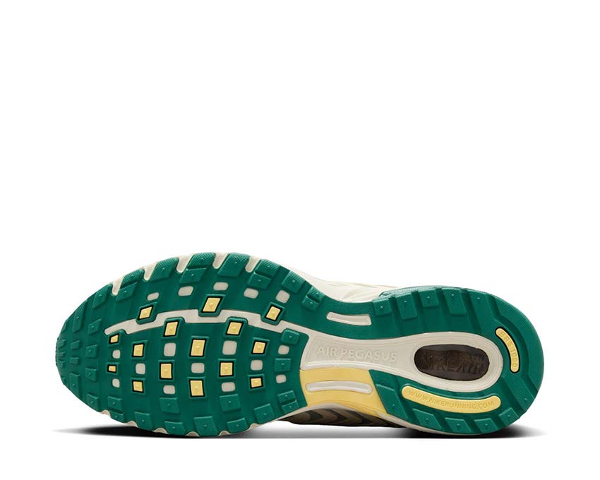 Nike Air Pegasus 2005 "Bicoastal"