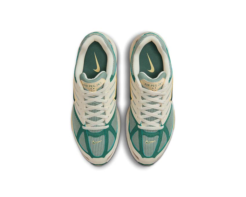 Nike Air Pegasus 2005 "Bicoastal"