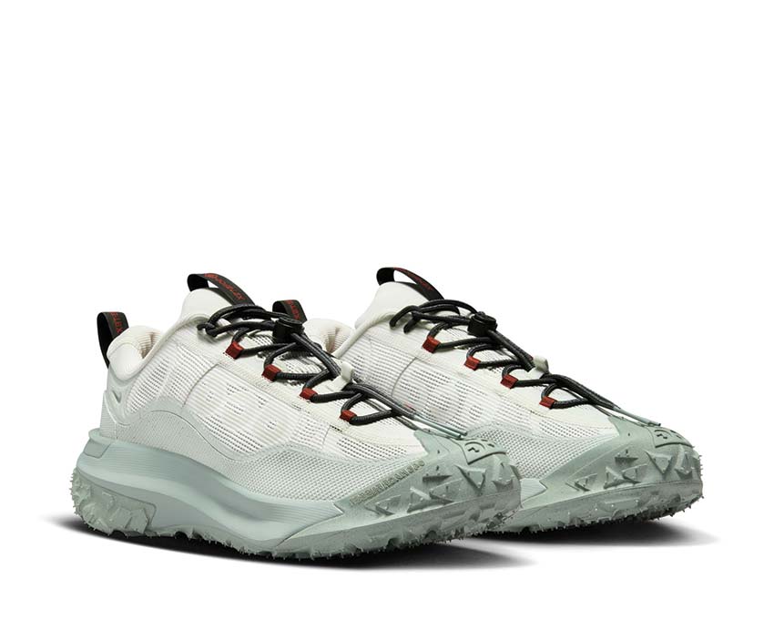 Nike ACG Mountain Fly 2 Low GTX