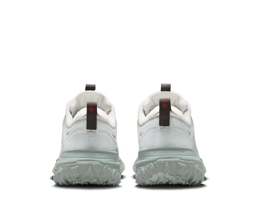Nike ACG Mountain Fly 2 Low GTX