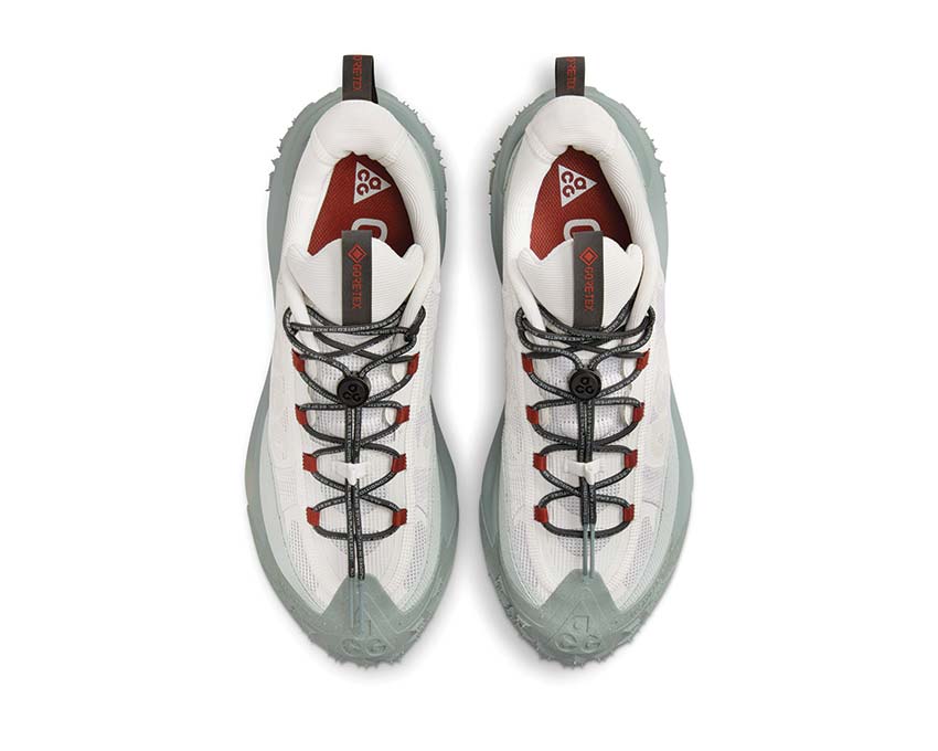 Nike ACG Mountain Fly 2 Low GTX