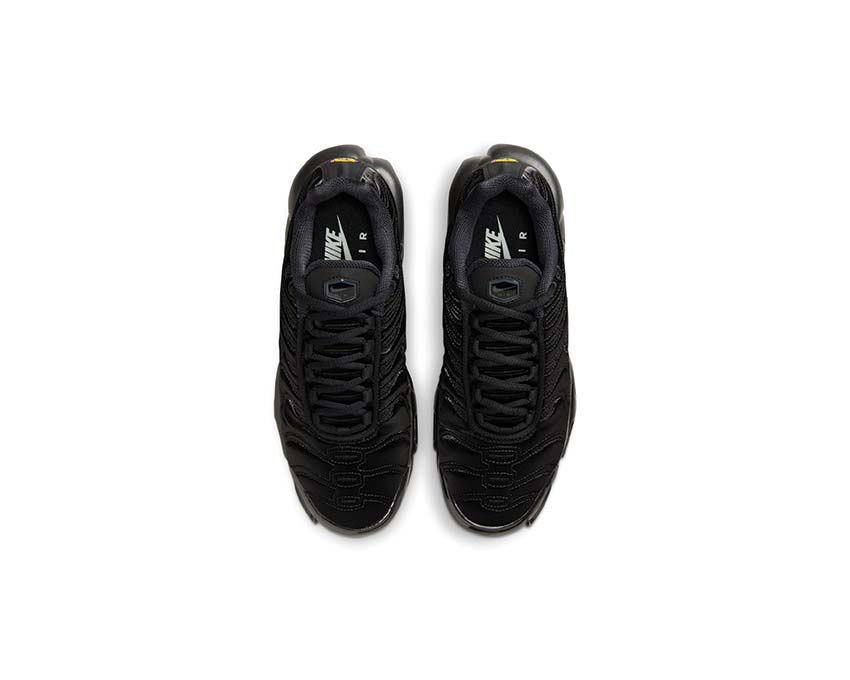 Nike Air Max Plus W