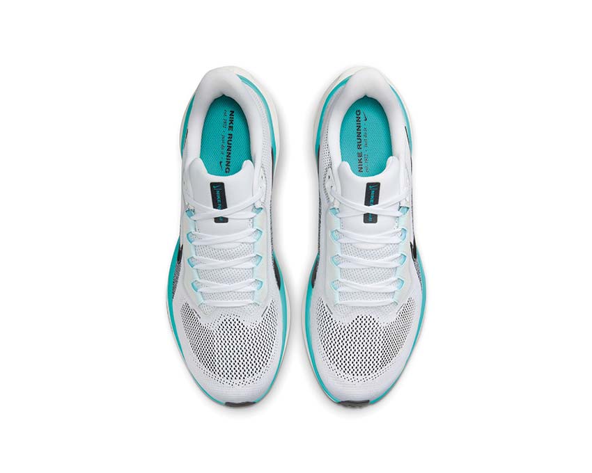 Nike Air Zoom Pegasus 41